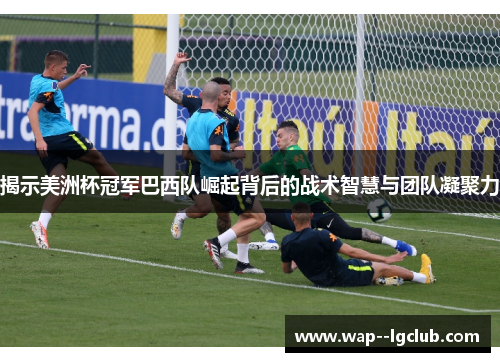 揭示美洲杯冠军巴西队崛起背后的战术智慧与团队凝聚力