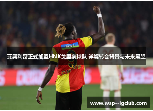 菲奥利奇正式加盟HNK戈里察球队 详解转会背景与未来展望 菲奥利奇正式加盟HNK戈里察球队 详解转会背景与未来展望