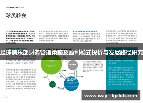 足球俱乐部财务管理策略及盈利模式探析与发展路径研究