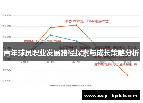 青年球员职业发展路径探索与成长策略分析