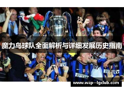 魔力鸟球队全面解析与详细发展历史指南